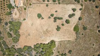 Αγροτεμάχια 9.100 τ.μ. πρός πώληση, Αργολίδα, Κρανίδι-thumb-8