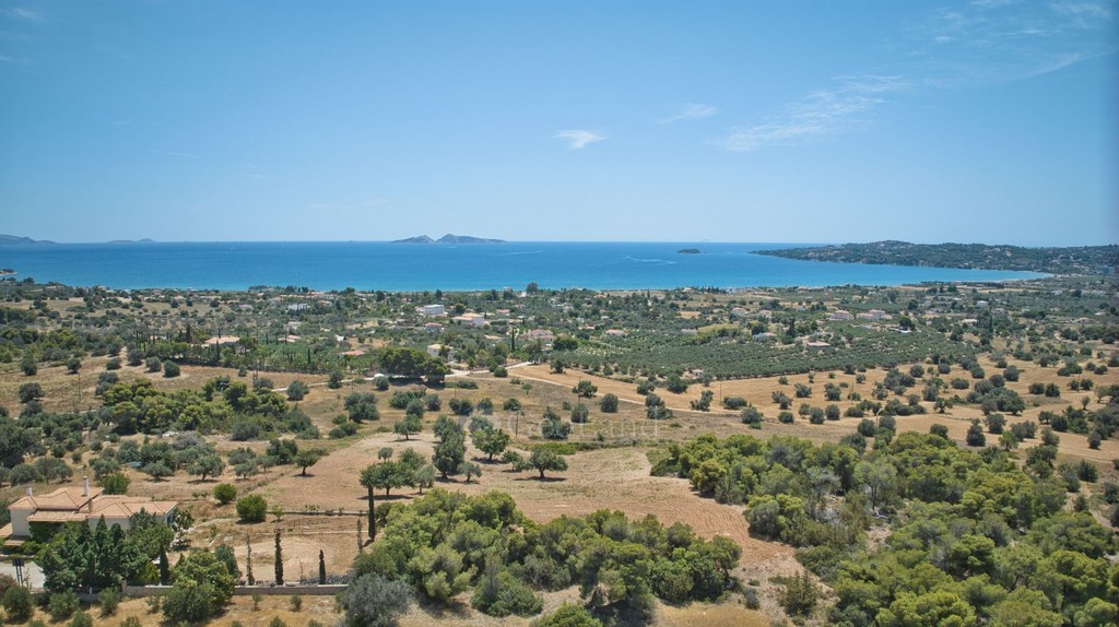 Αγροτεμάχια 9.100 τ.μ. πρός πώληση, Αργολίδα, Κρανίδι