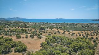 Αγροτεμάχια 9.100 τ.μ. πρός πώληση, Αργολίδα, Κρανίδι-thumb-5