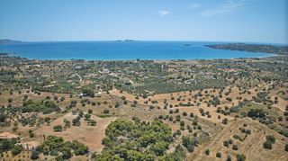 Αγροτεμάχια 9.100 τ.μ. πρός πώληση, Αργολίδα, Κρανίδι-thumb-18