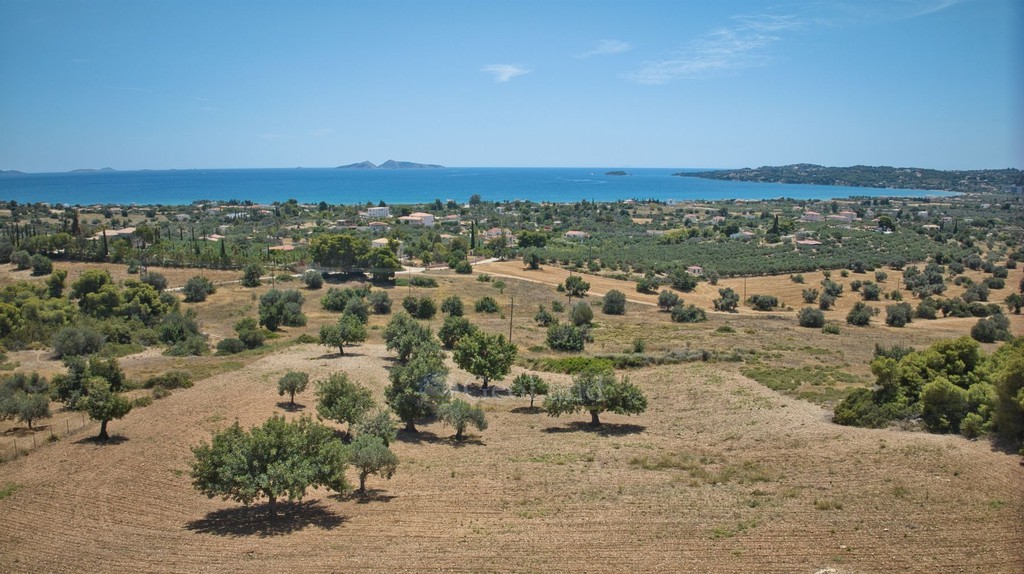 Αγροτεμάχια 9.100 τ.μ. πρός πώληση, Αργολίδα, Κρανίδι