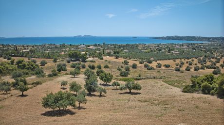Αγροτεμάχια 9.100 τ.μ. για πώληση