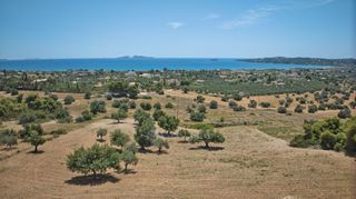 Αγροτεμάχια 9.100 τ.μ. για πώληση