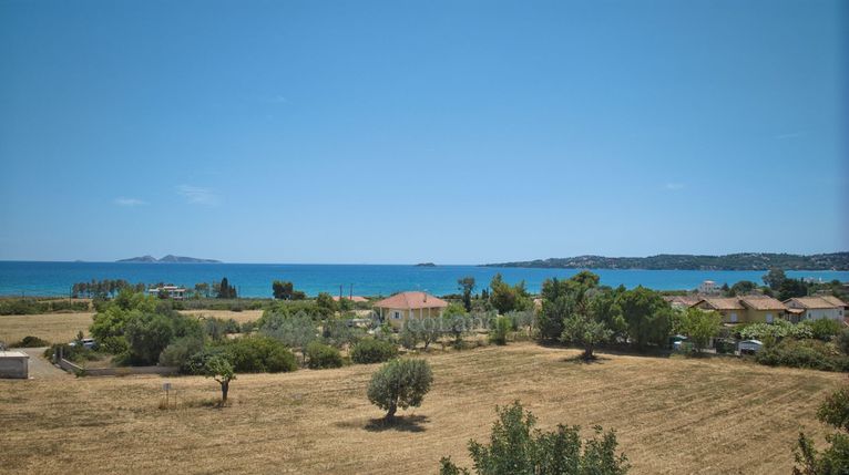 Οικόπεδο 6.400 τ.μ. για πώληση, Αργολίδα, Κρανίδι