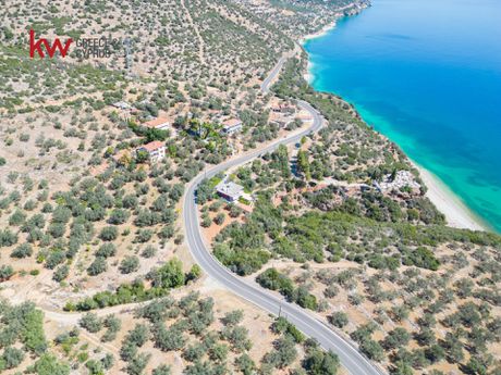 Land plot 4.100sqm for sale-North Kinouria