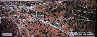 Οικόπεδο 367 τ.μ. για πώληση, Εύβοια, Αμάρυνθος-thumb-44