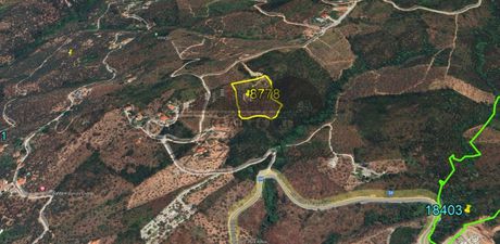 Αγροτεμάχια 8.778 τ.μ. για πώληση