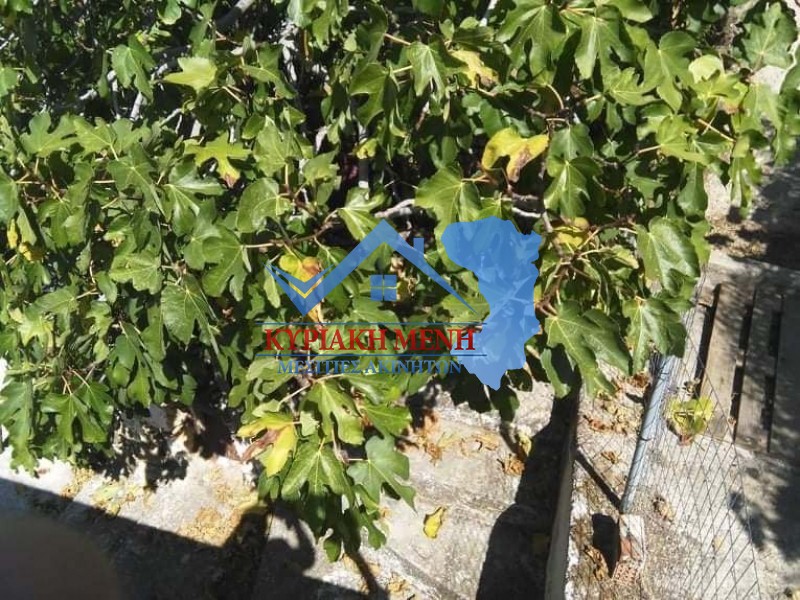 Μονοκατοικία 83 τ.μ. πρός πώληση, Ν. Χίου, Χίος
