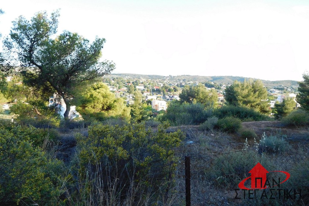 Οικόπεδο 620 τ.μ. πρός πώληση, Βοιωτία, Σχηματάρι