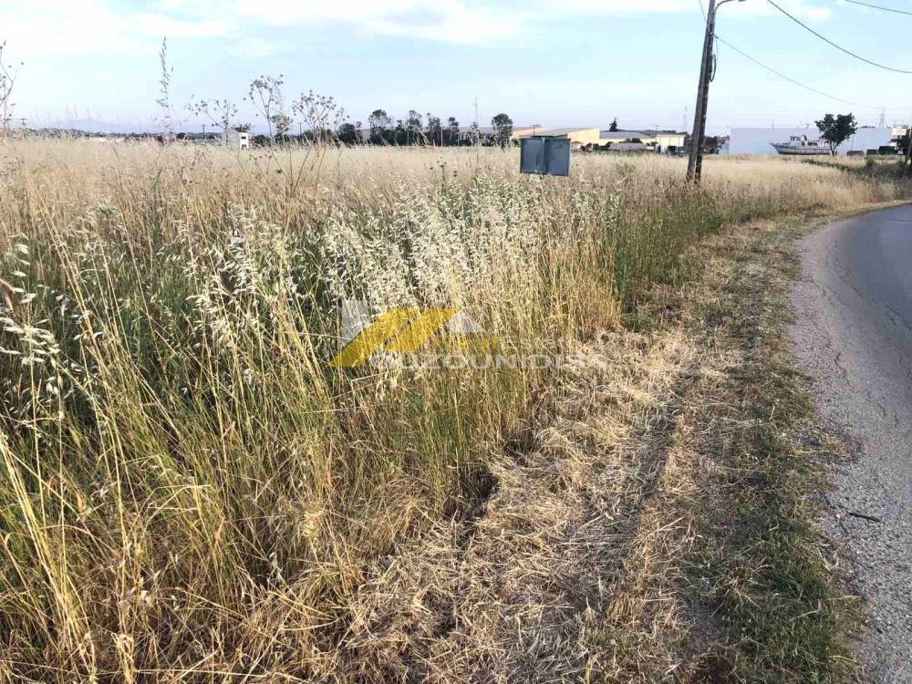 Αγροτεμάχια 4.000 τ.μ. προς πώληση, Κέντρο Αλεξανδρούπολης