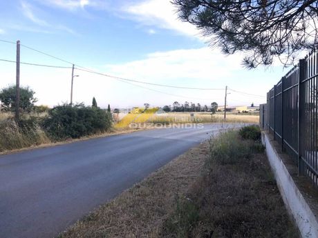 Parcel 4.000sqm for sale-Alexandroupoli » Center