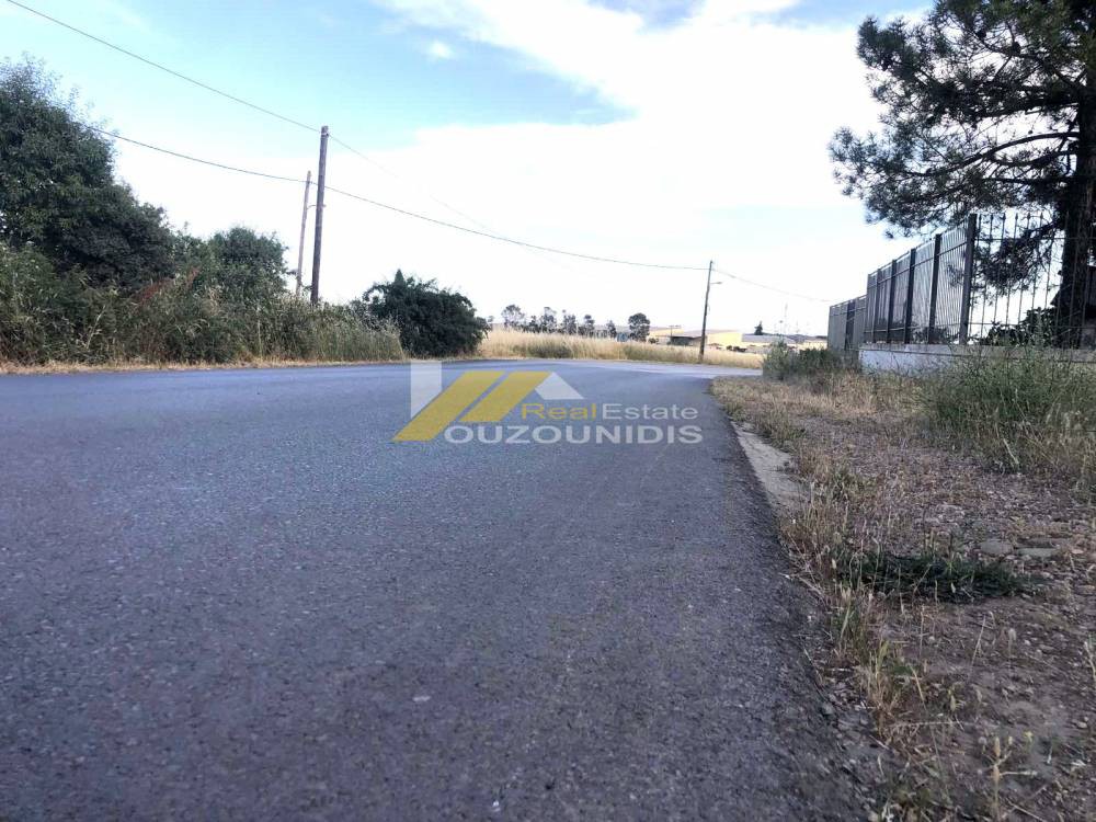 Αγροτεμάχια 4.000 τ.μ. προς πώληση, Κέντρο Αλεξανδρούπολης
