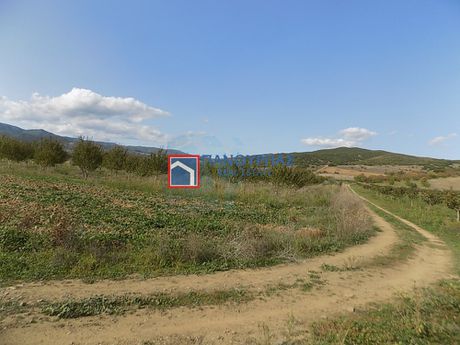 Αγροτεμάχια 1.864τ.μ. για πώληση-Μακρακώμη » Μάκρη
