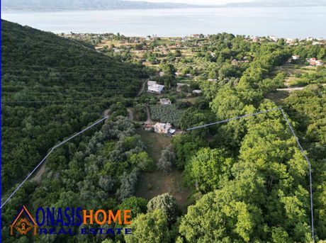 Αγροτεμάχια 8.000τ.μ. για πώληση-Ρεντίνα » Μηλιές