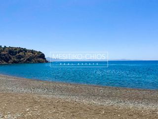 Οικόπεδο 276,45 τ.μ. προς πώληση, Αμάνη-thumb-16