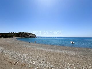 Οικόπεδο 276,45 τ.μ. προς πώληση, Αμάνη-thumb-22