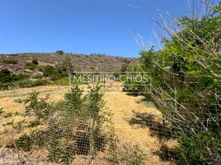 Οικόπεδο 276,45 τ.μ. προς πώληση, Αμάνη-thumb-13