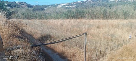 Αγροτεμάχια 6.000τ.μ. για πώληση-Ιεράπετρα » Καλόγεροι