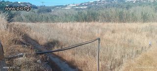 Αγροτεμάχια 6.000 τ.μ. για πώληση