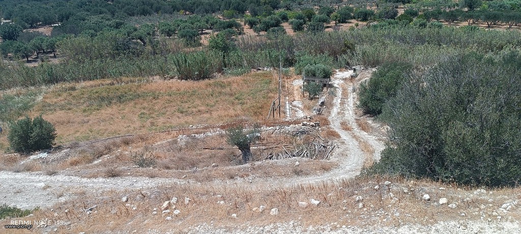 Αγροτεμάχια 6.000 τ.μ. πρός πώληση, Ν. Λασιθίου, Ιεράπετρα