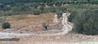 Αγροτεμάχια 6.000 τ.μ. για πώληση, Ν. Λασιθίου, Ιεράπετρα-thumb-2