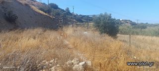 Αγροτεμάχια 6.000 τ.μ. για πώληση, Ν. Λασιθίου, Ιεράπετρα-thumb-5
