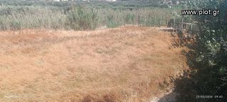 Αγροτεμάχια 6.000 τ.μ. για πώληση, Ν. Λασιθίου, Ιεράπετρα-thumb-7