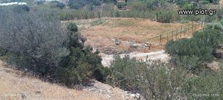 Αγροτεμάχια 6.000 τ.μ. για πώληση, Ν. Λασιθίου, Ιεράπετρα-thumb-8