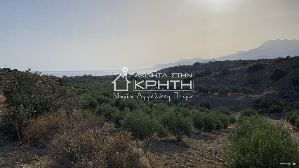 Γη 34.000 τ.μ. για πώληση, Ν. Λασιθίου, Μακρύς Γιαλός