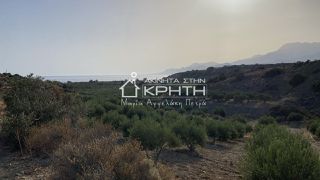 Γη 34.000 τ.μ. για πώληση