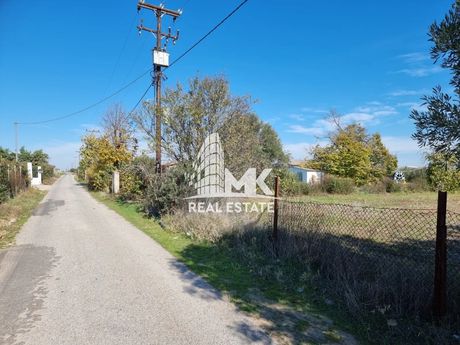 Αγροτεμάχια 4.000τ.μ. για πώληση-Καλλικράτεια » Νέα ηράκλεια