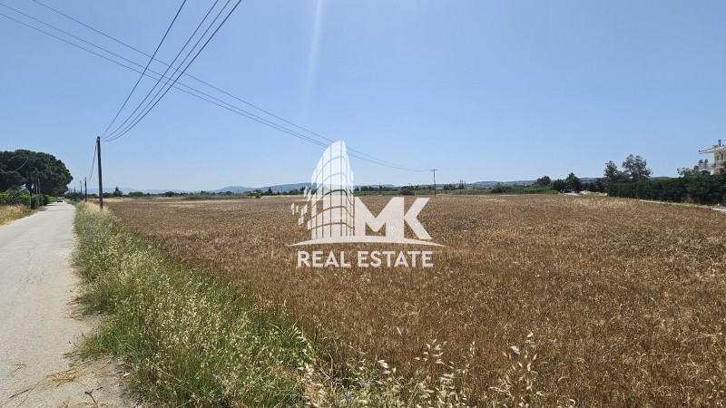 Αγροτεμάχια 12.000 τ.μ. πρός πώληση, Θεσσαλονίκη - Περιφ/Κοί Δήμοι, Θέρμη