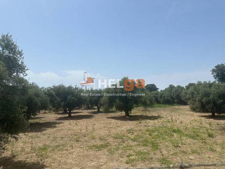 Οικόπεδο 3.219 τ.μ. για πώληση