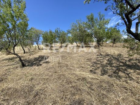 Parcel 8.814sqm for sale-Makrinitsa » Fitoko