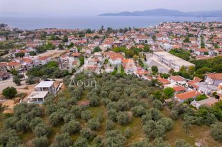 Οικόπεδο 982 τ.μ. για πώληση, Μαγνησία, Αγριά-thumb-16