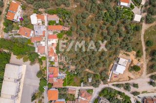 Οικόπεδο 982 τ.μ. για πώληση, Μαγνησία, Αγριά-thumb-6