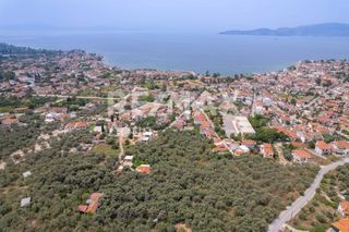 Οικόπεδο 982 τ.μ. για πώληση, Μαγνησία, Αγριά-thumb-11