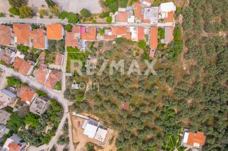 Οικόπεδο 982 τ.μ. για πώληση, Μαγνησία, Αγριά-thumb-7