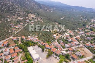 Οικόπεδο 982 τ.μ. για πώληση, Μαγνησία, Αγριά-thumb-13