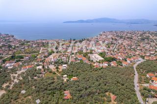 Οικόπεδο 982 τ.μ. για πώληση, Μαγνησία, Αγριά-thumb-8