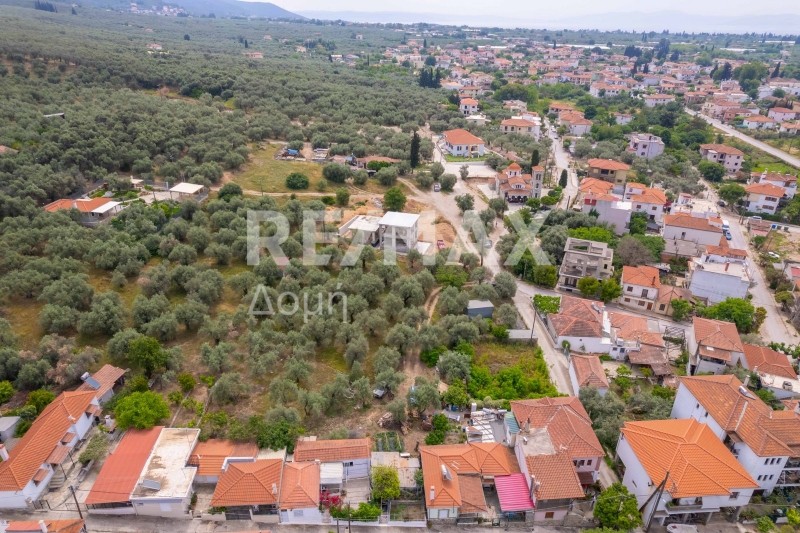 Οικόπεδο 982 τ.μ. προς πώληση, Μαγνησία, Αγριά