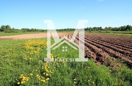 Parcel 4.000sqm for sale-Katerini » Agia Anna