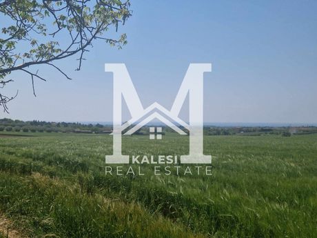 Parcel 52.000sqm for sale-Epanomi » Lefkes