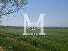 Parcel 52.000sqm for sale-Epanomi » Lefkes