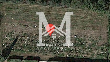 Αγροτεμάχια 2.990 τ.μ. για πώληση