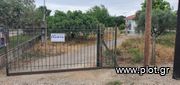 Μονοκατοικία 55τ.μ. για πώληση-Ιαρδανός » Κεραμιδιά