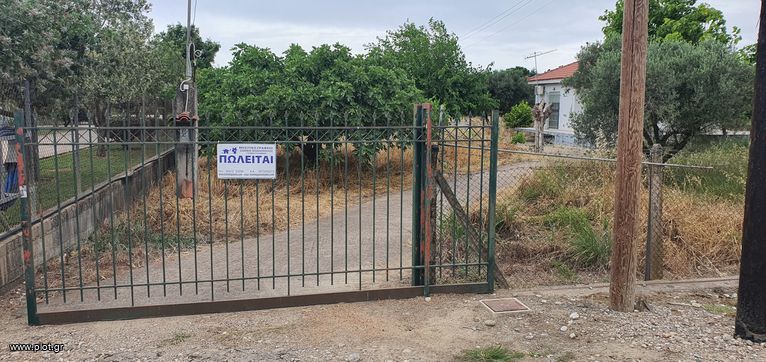 Μονοκατοικία 55 τ.μ. για πώληση, Ν. Ηλείας, Ιαρδανός