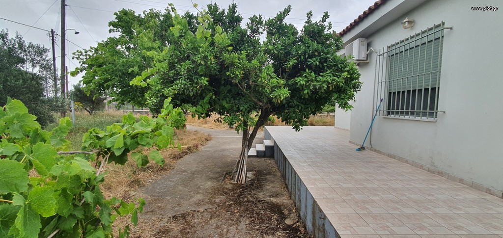 Μονοκατοικία 55 τ.μ. πρός πώληση, Ν. Ηλείας, Ιαρδανός