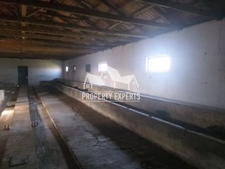 Αποθήκη 330 τ.μ. για πώληση, Εβρος, Φέρες-thumb-8