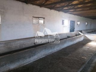 Αποθήκη 330 τ.μ. για πώληση, Εβρος, Φέρες-thumb-7